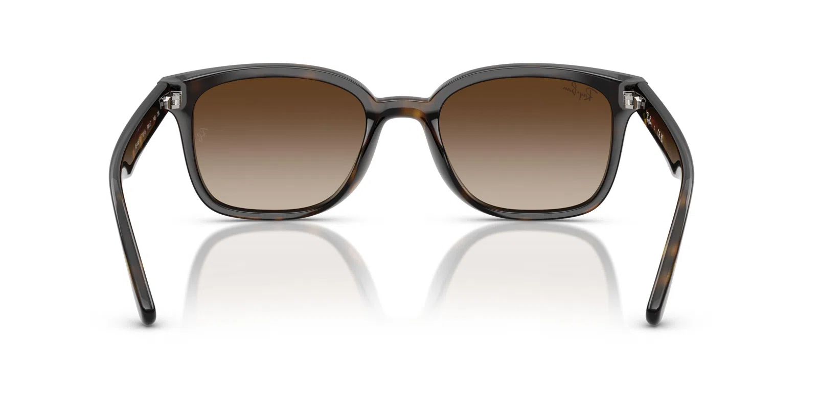 Ray-Ban 4461D Sunglasses - view 14